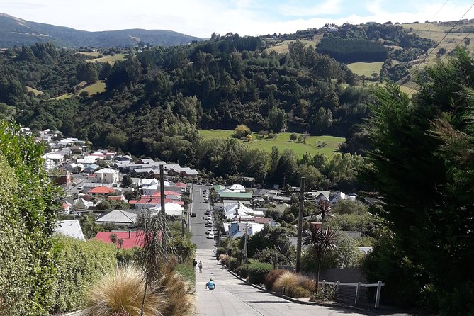 Garden and City tour - Dunedin Railway Station deserves your camera