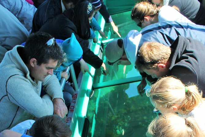 Glass Bottom Boat Tour - Key points to know before you go