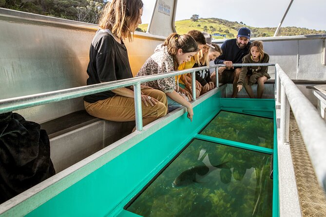 Glass Bottom Boat Tour - Why Goat Island makes a good short outing
