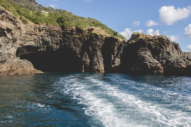 Glass Bottom Boat Tour - What makes the guide valuable