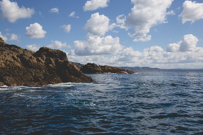 Glass Bottom Boat Tour - Who will enjoy this boat ride most?