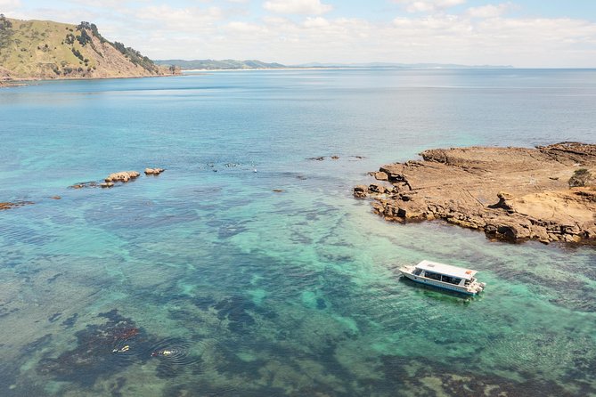 Glass Bottom Boat Tour - The first 50 minutes around the marine reserve
