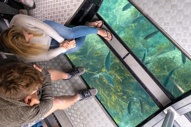 Glass Bottom Boat Whitianga Cathedral Cove Cruise - Four things to know before you book