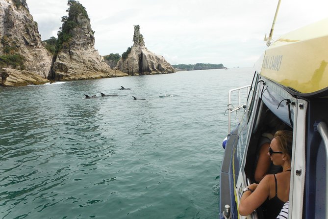 Glass Bottom Boat Whitianga Cathedral Cove Cruise - Snorkeling from the boat