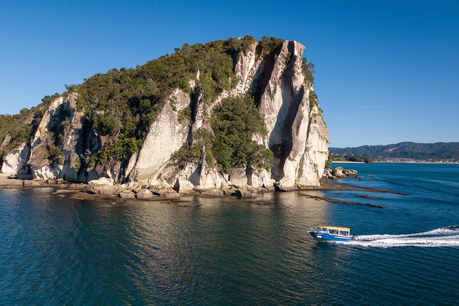 Glass Bottom Boat Whitianga Cathedral Cove Cruise - How the two hours usually feel