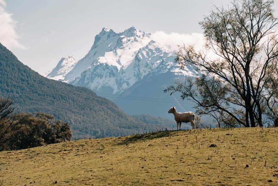 Glenorchy: 4WD Lord Of the Rings Half-Day Tour - What the six-seat 4WD is really like