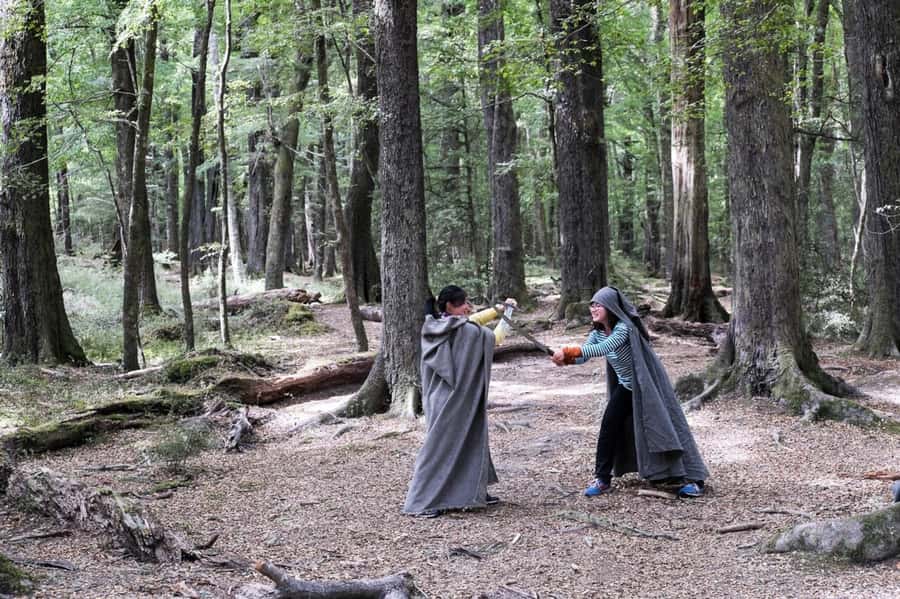 Glenorchy: 4WD Lord Of the Rings Half-Day Tour - Is $178 good value?