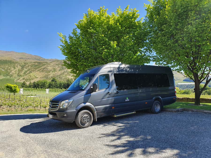 Glenorchy Kiwi Special Tour, from Queenstown - Making the most of 1.5 hours