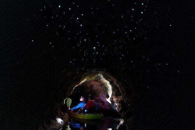 Glow Worm Kayak Tour - Quick facts about the night paddle