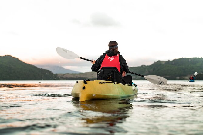 Glow Worm Kayak Tour - Small caves lit by living pinpoints