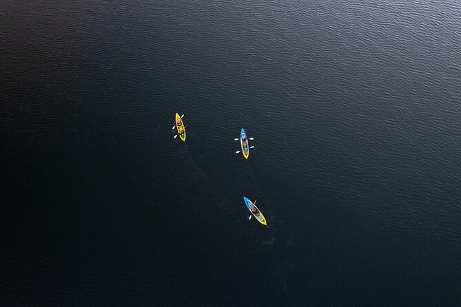 Glow Worm Kayak Tour - What the $121.01 price buys you