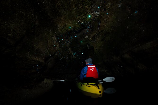 Glow Worm Kayak Tour - Following the shoreline through dusk