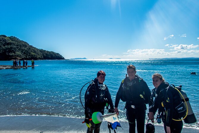 Goat Island Experience Guided Shore Dive - What the four-hour schedule feels like