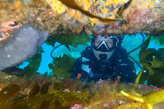 Goat Island Experience Guided Shore Dive - Eagle Ray Flats and the sandy bottom