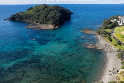 Goat Island Experience Guided Snorkelling for Beginners
