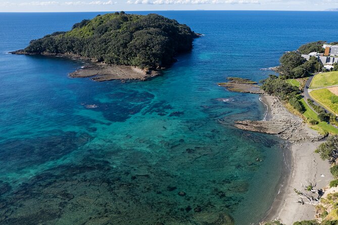 Goat Island Experience Guided Snorkelling for Beginners - The first 30 minutes: equipment and water skills