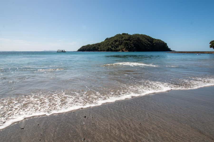 Goat Island: Glass Bottom Boat Tour - What the 45-minute route gives you