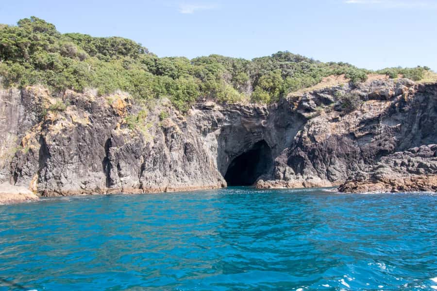 Goat Island: Glass Bottom Boat Tour - The guide commentary adds real value