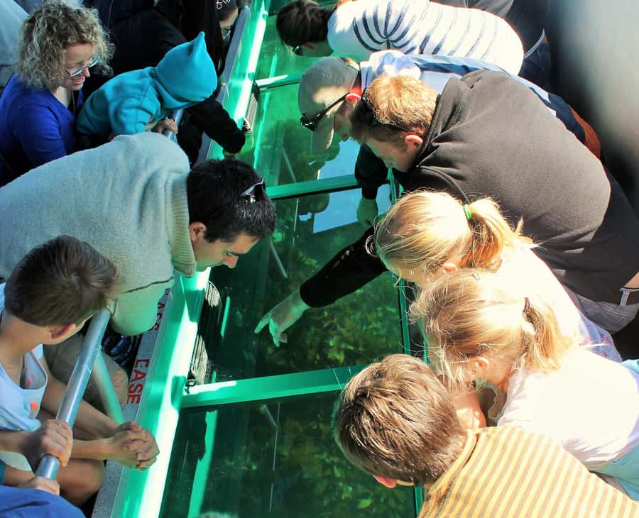 Goat Island: Glass Bottom Boat Tour - Meeting the Aquador on Goat Island Beach