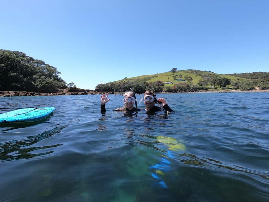 Goat Island Guided Snorkeling Tour for Beginners - Key points at a glance