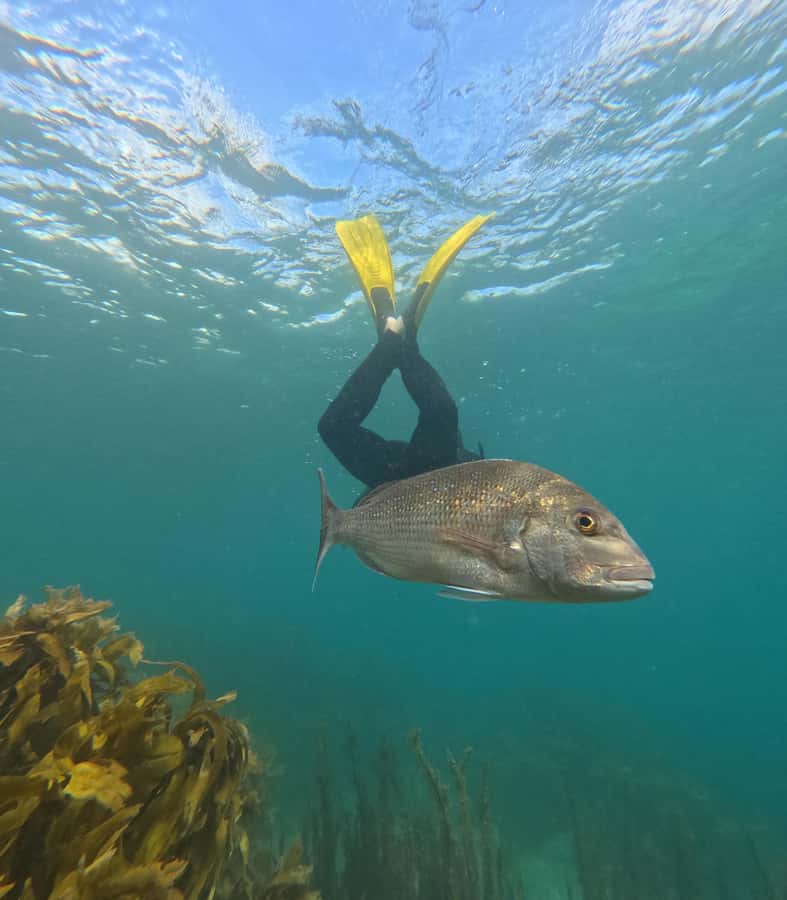 Goat Island Guided Snorkeling Tour for Beginners - Why Goat Island works for nervous beginners