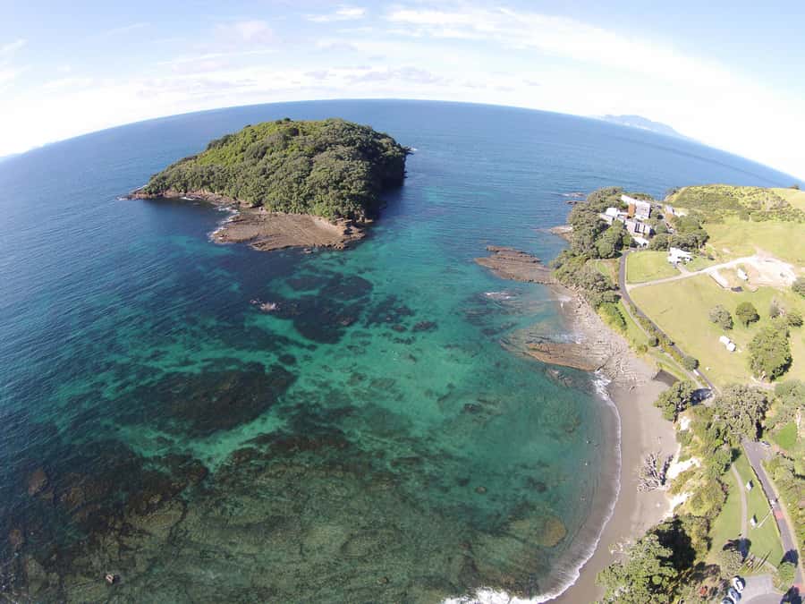 Goat Island Guided Snorkelling Tour For Advanced - Key points before you book