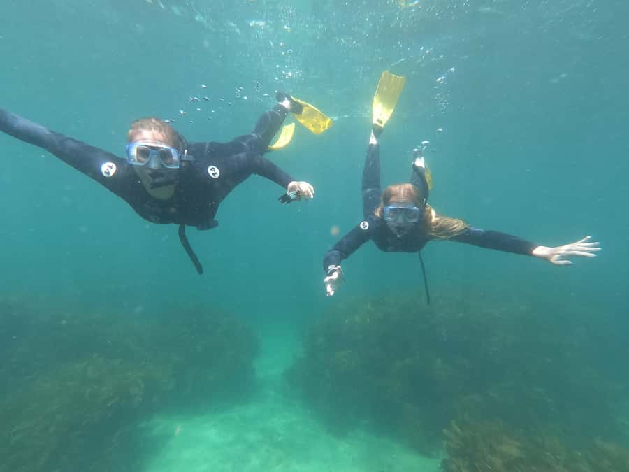 Goat Island Guided Snorkelling Tour For Advanced - Why Goat Island makes a strong classroom