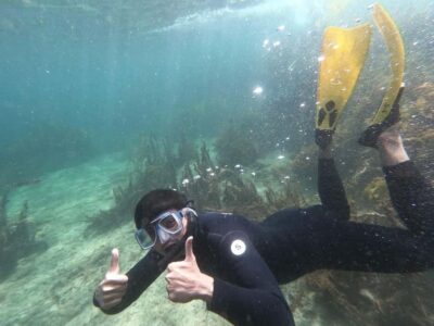 Goat Island Guided Snorkelling Tour For Advanced