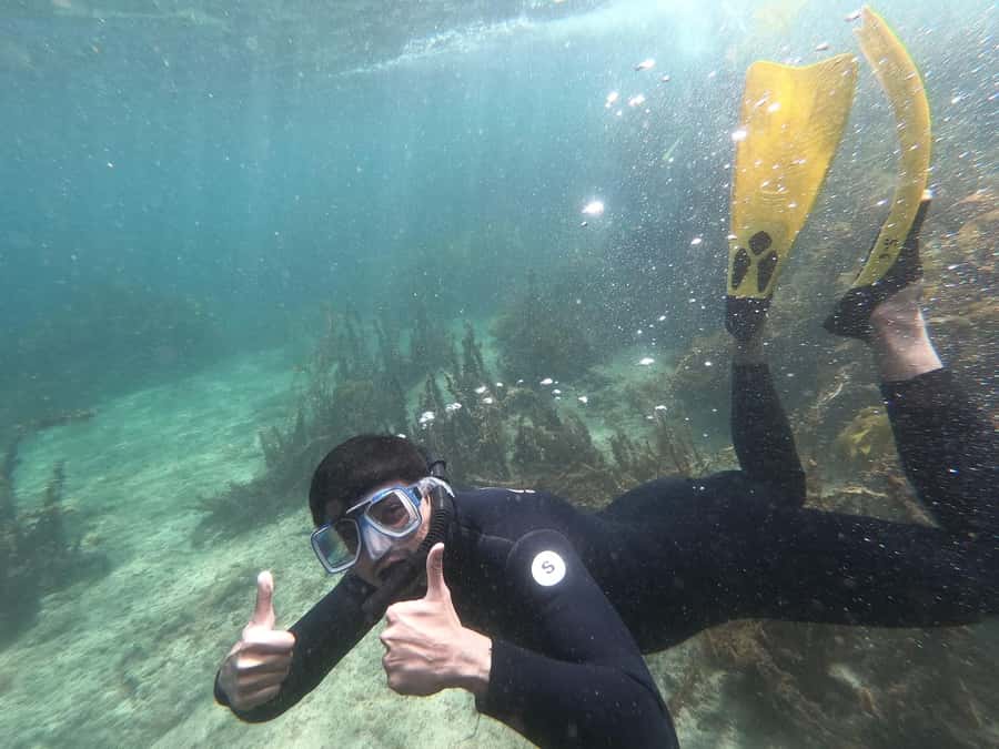 Goat Island Guided Snorkelling Tour For Advanced - The equipment fitting at Goat Island Dive and Snorkel Centre