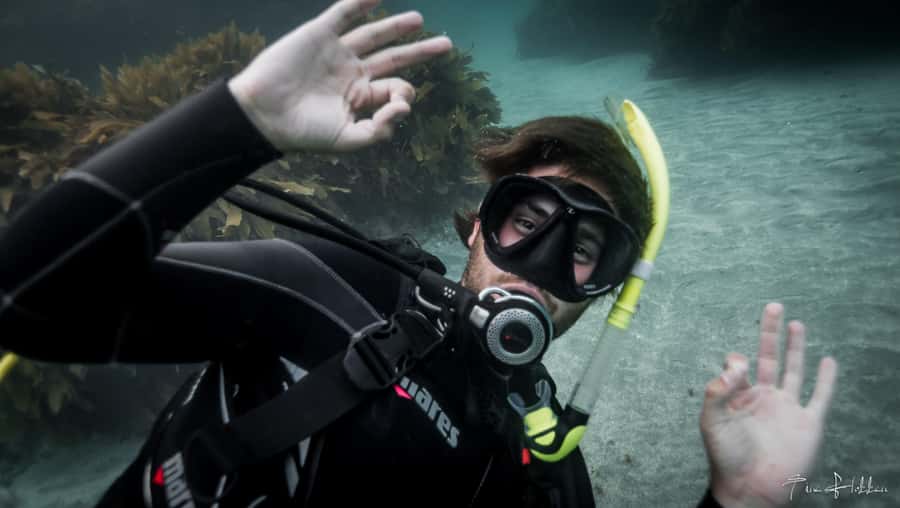 Goat Island Try Scuba Diving Experience - Key points to know before booking