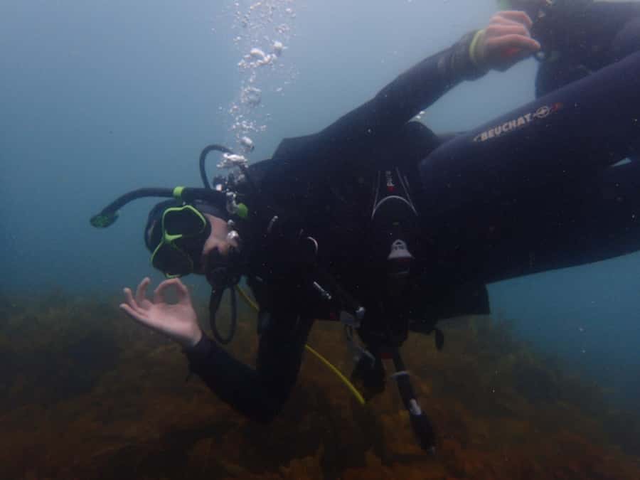 Goat Island Try Scuba Diving Experience - Learning to breathe underwater in shallow water