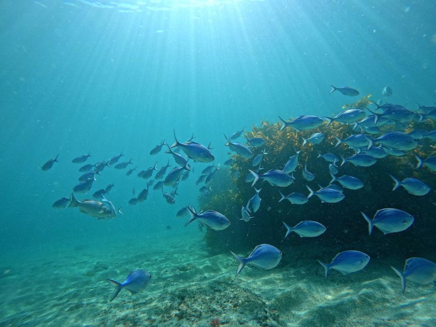 Goat Island Try Scuba Diving Experience - Moving toward the marine reserve