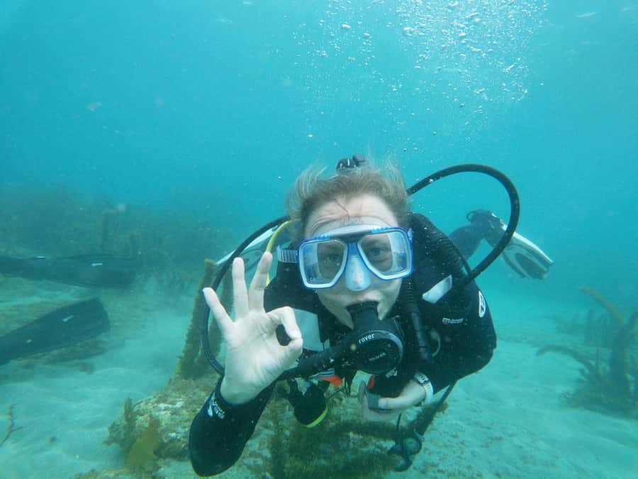 Goat Island Try Scuba Diving Experience - Is $166 good value for four hours?