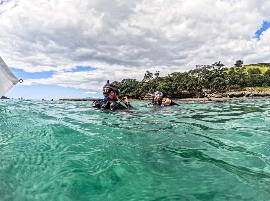 Goat Island Try Scuba Diving Experience - Arriving at the Goat Island Dive and Snorkel Centre