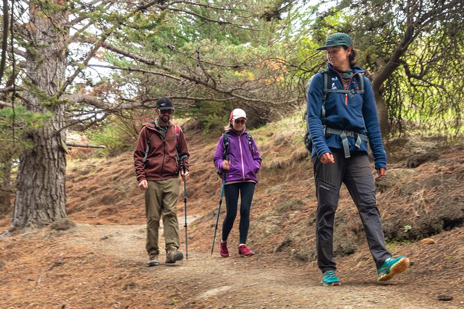 Godley Head & Lyttelton Scenic Drive & Guided Walk (Private Tour) - Key points at a glance