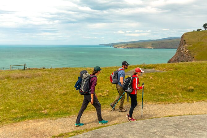 Godley Head & Lyttelton Scenic Drive & Guided Walk (Private Tour) - Why this private day trip works so well from Christchurch