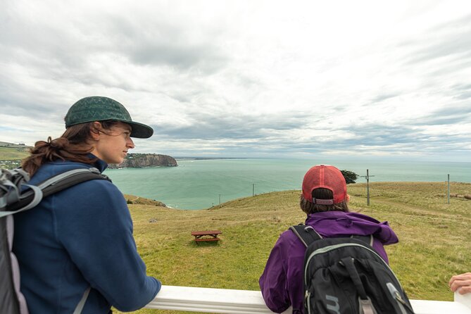 Godley Head & Lyttelton Scenic Drive & Guided Walk (Private Tour) - Godley Head mixes open views with wartime remains