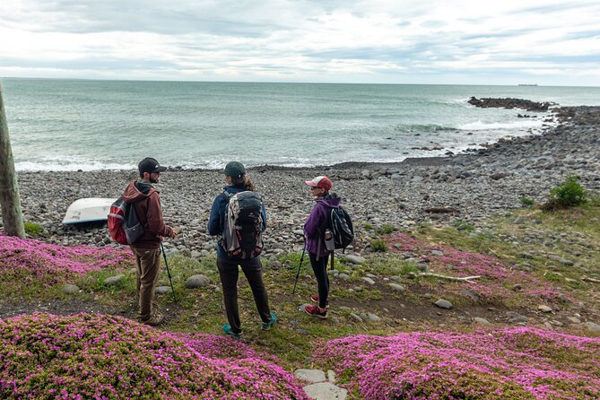 Godley Head & Lyttelton Scenic Drive & Guided Walk (Private Tour) - A guide can make the short stops count
