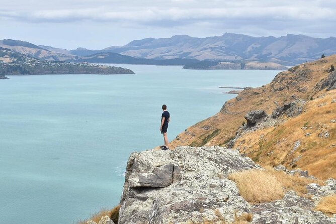 Godley Head & Lyttelton Scenic Drive & Guided Walk (Private Tour) - Is $247.92 per person good value?