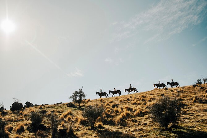 Gold Discovery Trail Horse Trek Cardrona - Most popular! - Key points before you saddle up