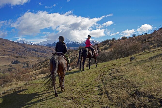 Gold Discovery Trail Horse Trek Cardrona - Most popular! - Why Cardrona is a fine place for a horse ride