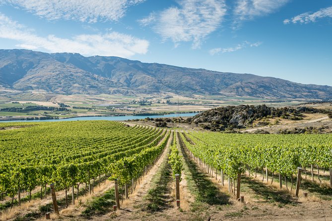Gourmet Food and Wine Tour Queenstown All-Inclusive Tour - Key points to know before booking