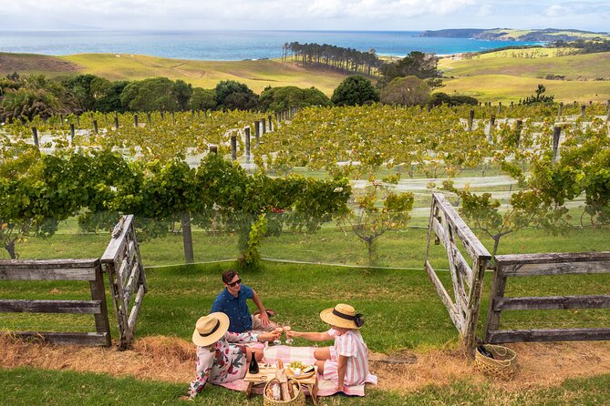Gourmet Mystery Picnic Experience in Matakana - Five things to know before you book