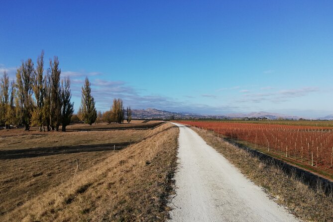 Great Escape Self-Guided Scenic Cycle Winery Tour from Napier - Starting across from Napier’s Art Deco center