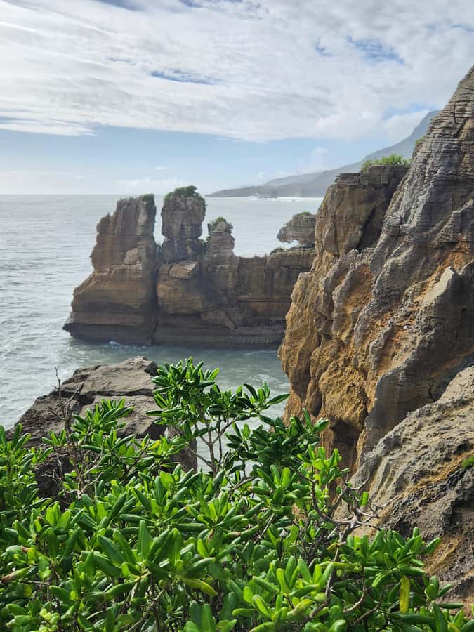 Greymouth: Full-Day Best Of The West Tour - The Coastal Drive to Punakaiki