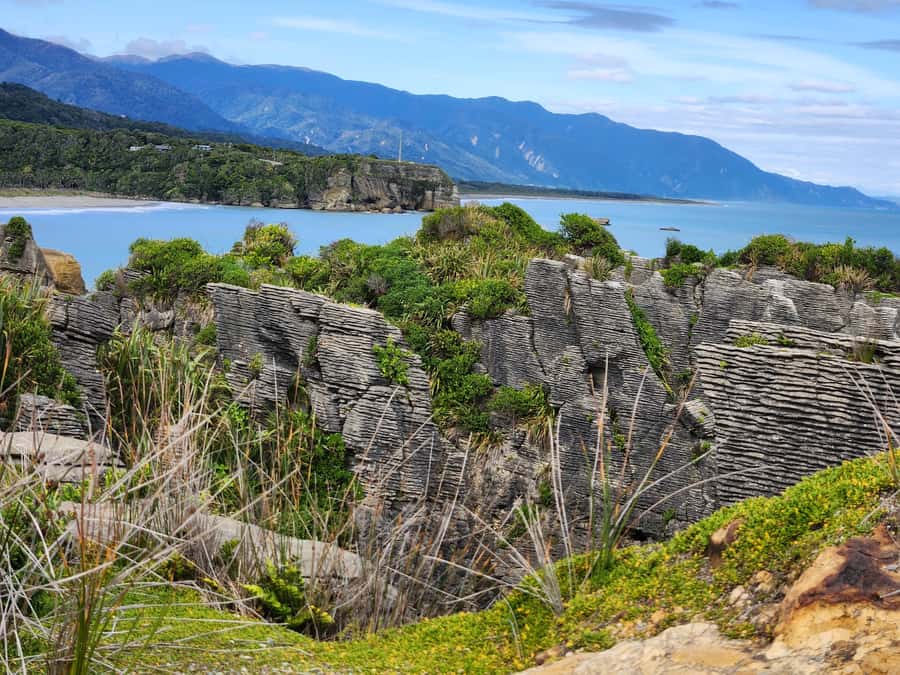 Greymouth: Full-Day Best Of The West Tour - Afternoon Tea Over the Tasman Sea