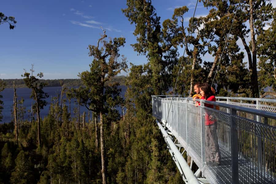 Greymouth: Hokitika Gorge and Tree Top Walkway Half-Day Tour - Four things to know before you book
