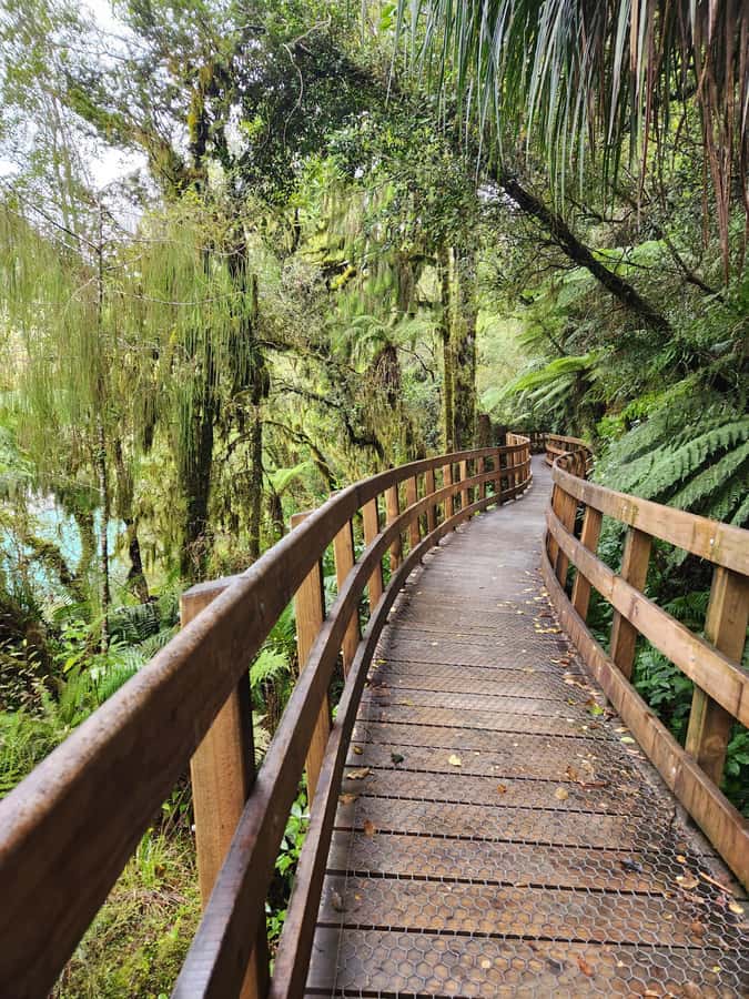 Greymouth: Hokitika Gorge and Tree Top Walkway Half-Day Tour - When the weather changes the morning