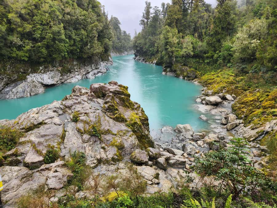 Greymouth: Hokitika Gorge and Tree Top Walkway Half-Day Tour - What the $122 price includes