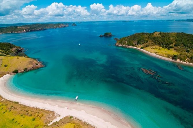 Group tour to Bay of Islands return from Auckland - The guides can shape the whole day